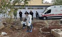 Mezarlıkta bebek cesedi bulundu