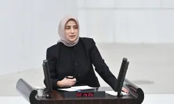 AK Partili Özlem Zengin’den tepki çeken anayasa çıkışı