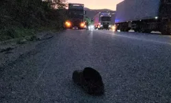 Patlayan lastiği değiştirirken, TIR’ın çarptığı sürücü öldü