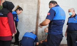 Şanlıurfa'da yaklaşık 1 ton bozulmuş et ele geçirildi