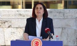 DEM Parti Milletvekili Çelenk’ten Devlet Tiyatroları için araştırma önergesi