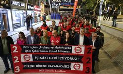 Van’da kayyımın işten çıkardığı 223 işçi, 75 gündür eylemde