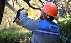 Mamak’ta sonbahar budama çalışmaları sürüyor