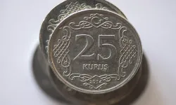 Elinde 25 kuruş olan turnayı gözünden vurdu: Değeri 34 bin 871 TL