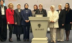 AK Partili Ercan: Kadına şiddetle mücadele, AK Parti'nin inşa ettiği bir devlet politikasıdır