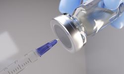 Kuş gribi bir can daha aldı!