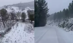 Adana’nın yüksek kesimlerine kar yağdı