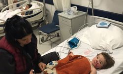 Ankara'da pitbull cinsi köpeğin saldırısına uğrayan 2 çocuk yaralandı