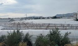 Antalya'da kuvvetli sağanak ve rüzgâr: Seralar zarar gördü!