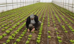 Balıkesir Büyükşehir'den üreticilere tam destek