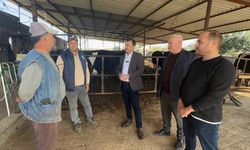 Besiciler girdi maliyetlerine isyan ediyor