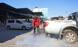 Çankaya Belediyesi’nden kış dönemi haşere mücadelesi