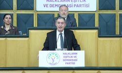 DEM Parti'den 'Selahattin Demirtaş' çağrısı