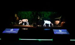 Ankara’nın Dijital Hayvanat Bahçesi teknolojiyle doğayı buluşturuyor