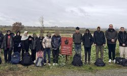 Edirne'de 29 kaçak göçmen yakalandı