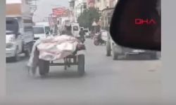 Adana'da at arabası, otomobile çarptı