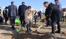 Geleceğe nefes olacak fidanlar toprakla buluştu