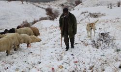 6 kentte kar yağışı etkili oldu