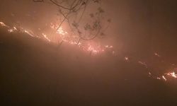 Hatay’da yıldırım düşmesi sonucu orman yangını çıktı