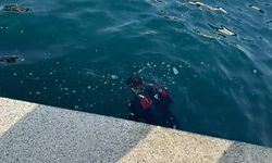 Beykoz'da balık tutanların oltasına takılan cesedin kimliği belli oldu