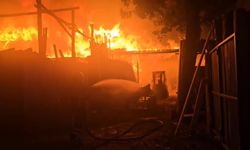 İş yeri yangınında mahsur kalan güvercinler kurtarıldı