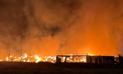 İzmir’de belediyeye ait çöp depolama alanında yangın