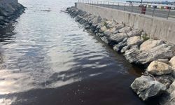İzmir Körfezi'nde kötü koku sürüyor; denizin rengi kahverengiye döndü