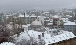 Van'ın Başkale ilçesi karla beyaza büründü