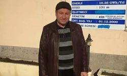 Kestane toplarken ağaçtan düşüp, öldü