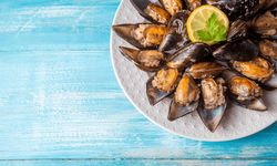 Uygun sıcaklıkta saklanmayan sokak lezzetleri gıda zehirlenmesine yol açabilir