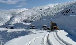 Muş, Sivas ve Şırnak'ta yoğun kar yağışı: Köy yolları ulaşıma kapandı