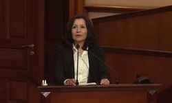 Prof. Dr. Şule Özsoy Boyunsuz kimdir?