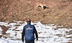 Sivas'ta 8 gündür kayıp; karlı arazide 'Palet' arama yapıyor