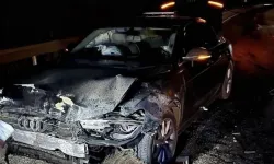 Sinop Belediye Başkanı Gürbüz'ün makam aracı domuz sürüsüne çarptı