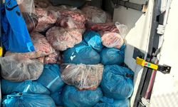 Tekirdağ'da 2 ton kaçak sakatat ele geçirildi