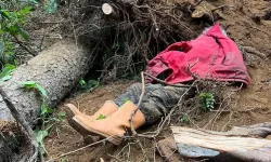 Trabzon'da kestiği ağacın altında kalan kişi yaşamını yitirdi