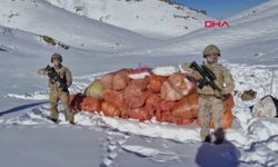 Hakkari ve Ağrı’da uyuşturucu operasyonu: 1 kişi gözaltında