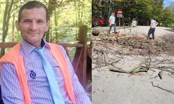 Üzerine ağaç devrilen belediye temizlik işçisi öldü