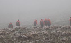 Yoğun sisin etkili olduğu Erzurum'da çoban koyun sürüsüyle kayboldu