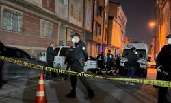 Yüksek dozlu ilaçlama iddiası: 1'i bebek 4 kişi zehirlendi