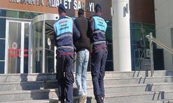 1 milyon 200 bin liralık ‘Tiny House'u çalan şüpheli yakalandı