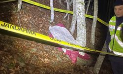 Uçuruma uçan traktörün sürücüsü öldü, eşi yaralandı