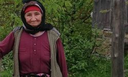 Alzheimer hastası yaşlı kadın ölü bulundu