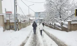 Van'da kar yağışı nedeniyle 90 yerleşim yeri ulaşıma kapandı