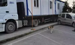 Depremde işçiye verilen konteyner için icra takibi başlattılar