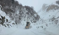 Artvin'de çığ meydana geldi