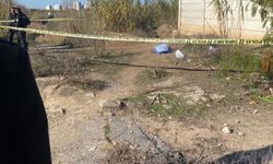 Adana'da yol kenarında kadın cesedi bulundu
