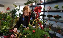 ABB Bitki Evleri yılbaşına özel ürünlerle Başkentlileri karşıladı