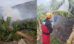 Antalya'da muz bahçelerinde yangın çıktı