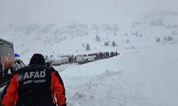 Artvin'de çığ meydana geldi: 3 çoban mahsur kaldı!